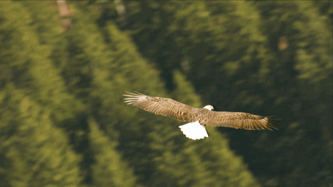 Cryptocurrency is the New Pigeon Drop&nbsp;Scheme